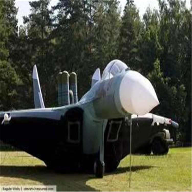 池州充气模型飞机制造商家